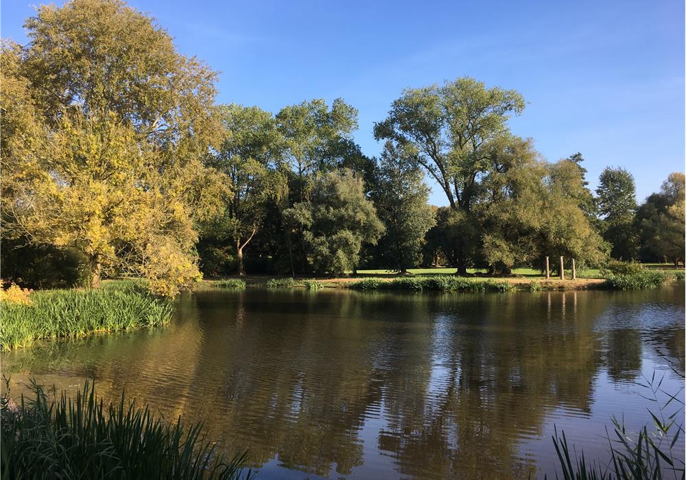 Welkom